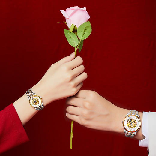 依波表EBOHR 大师系列金龙聚福情侣表实木礼盒机械表男士女士腕表5178 商品图6