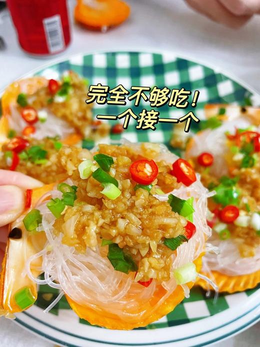 活开黄金扇贝 肉鲜肥美 清蒸烧烤，口感一流【新鲜活冻】 商品图4