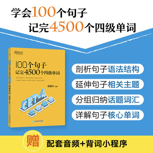 100个句子记完4500个四级单词 商品图0