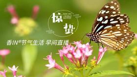 节气生活 惊蛰早直播