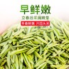 【2025新茶 下单立即发货】川茶集团 天府龙芽 四川宜宾早春茶 特级独芽绿茶 50g罐（京东同款） 商品缩略图2