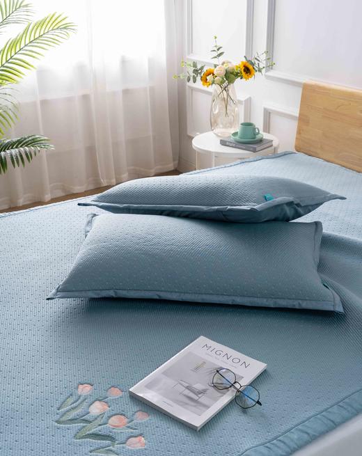 【远梦】夏清柔感凉席三件套 商品图6