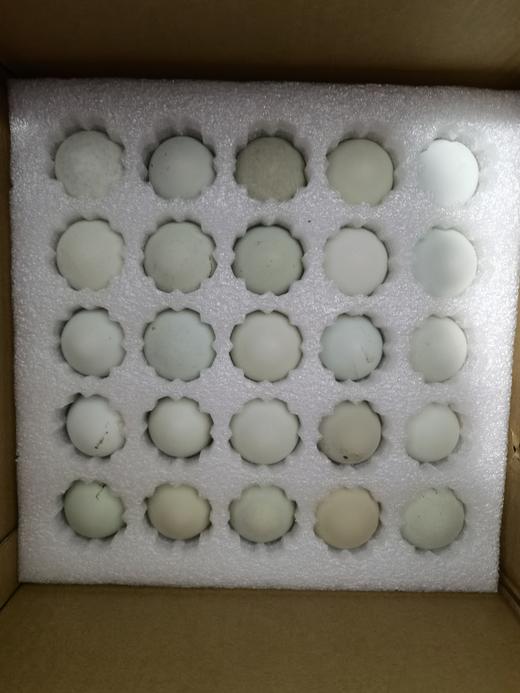 碧夏山庄 绿壳乌鸡蛋 商品图0