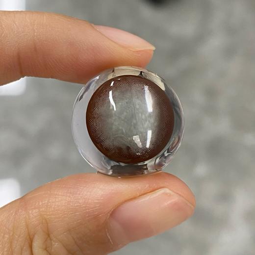 Deerbell•鹿小贝10片装日抛--大巧豆 商品图3