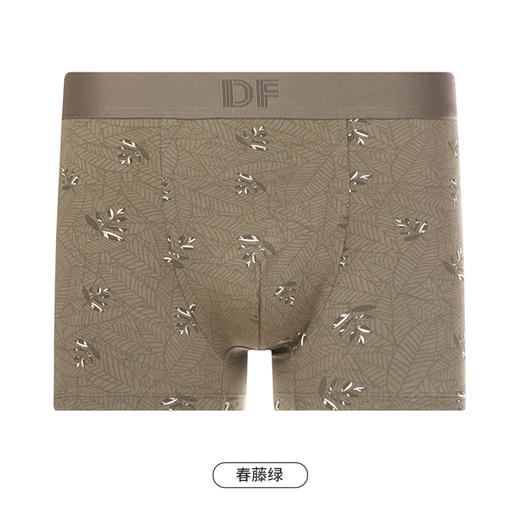 都市丽人都市锋尚日常休闲内裤男棉莫男士内裤平角内裤FK4CB9 商品图10