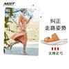 MBT足健康鞋女厚底休闲凉拖鞋足弓支撑腿部塑形增高防滑 牛皮LIKI 商品缩略图0