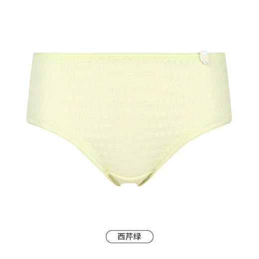 都市丽人基础系列薄透丝滑内裤女锦泳提花女士内裤速干低腰三角内裤LK43A1 商品图12