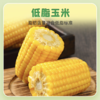 优选丨25年新玉米【香甜糯】东北糯玉米棒 8根装 近2个月内生产日期！软！糯！香！甜！ 商品缩略图9