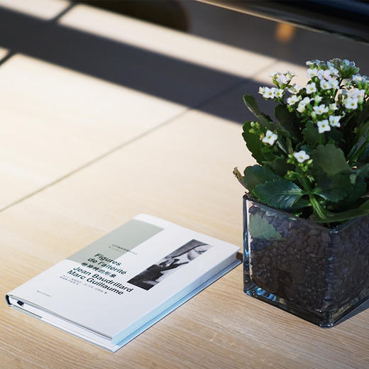 他异性的形象·当代激进思想家译丛 商品图4