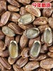【坚果系列】原味特大吊瓜子 粒粒臻选 饱满圆润 商品缩略图1