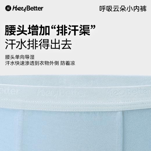 HeyBetter呼吸运动平纹小内裤 商品图3