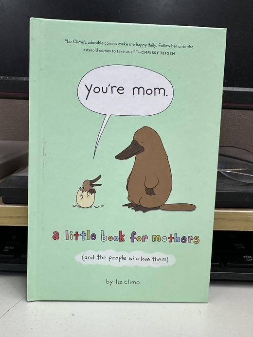 微瑕 你是妈妈 莉兹·克里莫 新作 治愈温馨绘本 英文原版 You're Mom: A Little Book for Mothers 你今天真好看作者Liz Climo 商品图0