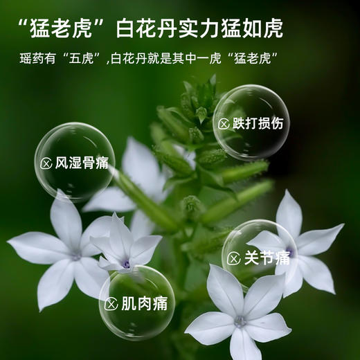 【后辰火灵丹贴】非遗大黑膏贴，各种肩颈腰腿关节痛都管用【秋季养生专场】 商品图2