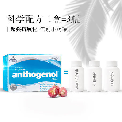 Anthogenol月光宝盒葡萄籽胶原蛋白花青素去黄氧化胶囊100粒/盒【exp2024.12起 非质量问题不退换】 商品图1