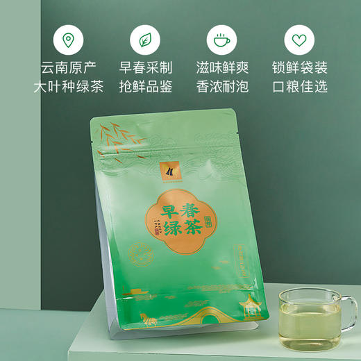 2024年新茶 八马茶业 | 云南绿茶 领鲜.早春绿茶自立袋装 商品图7
