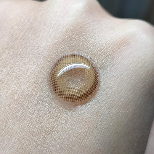 Serltyca旗下 ·青木浅驼&青木米灰·日抛 一盒6片装 商品图1