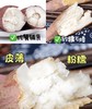 海南山口板栗地瓜 蜜薯 软糯香甜 商品缩略图0