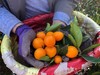 【AN】大理宾川脆甜小金桔 商品缩略图5