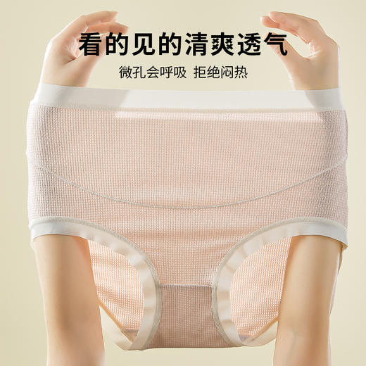 雅黛丽孕妇内裤女纯棉底裆怀孕早期中期晚期高腰托腹轻盈无束无感 商品图9