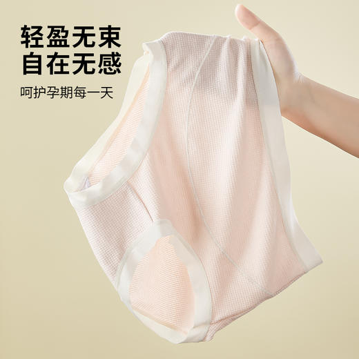 雅黛丽孕妇内裤女纯棉底裆怀孕早期中期晚期高腰托腹轻盈无束无感 商品图10