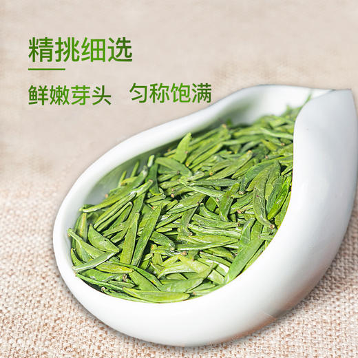 【2025新茶 下单立即发货】川茶集团 天府龙芽 四川宜宾早春茶 特级独芽绿茶 50g罐（京东同款） 商品图3