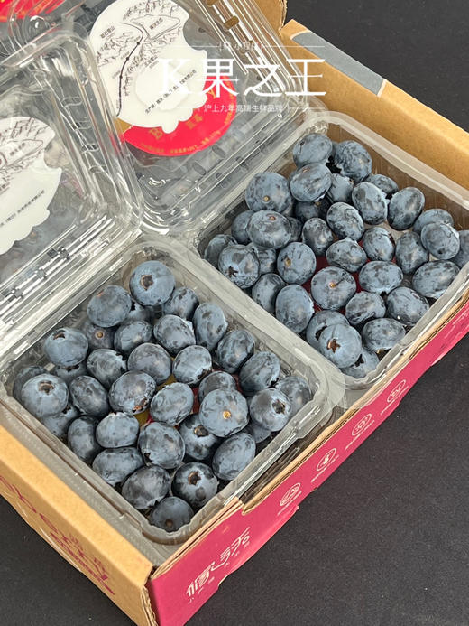 稼沃蓝莓🫐雪山甜蓝莓 天花板的蓝莓 好山好水 种出来的东西也是好的送礼，追求高品质，强烈推荐[强] 商品图4