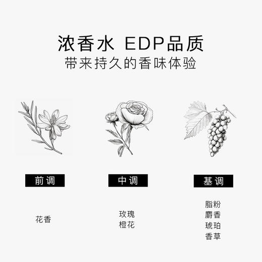 瑞典进口 SG79 EdP淡香精 艺术香水 N°6斯德哥尔摩的湖畔：梅拉伦和蓝厅 商品图4