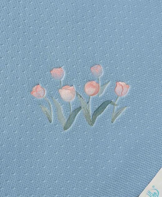 【远梦】夏清柔感凉席三件套 商品图5