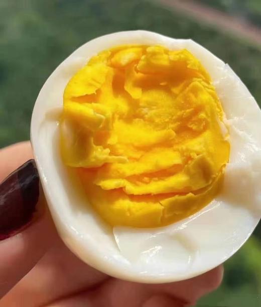 碧夏山庄 绿壳乌鸡蛋 商品图6