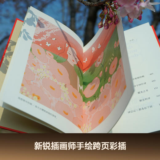 二十首情诗和一首绝望的歌（诺奖诗人聂鲁达经典情诗集，西班牙语直译，精装典藏） 商品图4