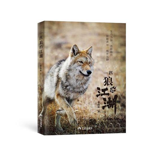 一匹狼的江湖 商品图0