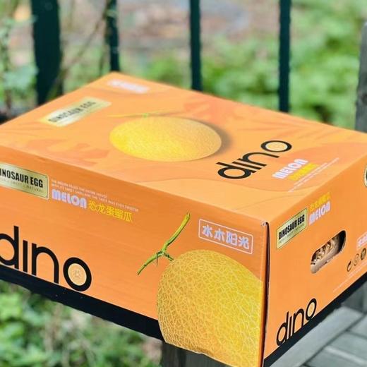 恐龙蛋蜜瓜 | 好酷的蜜瓜，黄皮黄肉，纯甜，恐龙蛋蜜瓜！ 商品图4