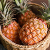 贝壳  海南南采正宗的海南金钻凤梨 甜度可佳浓郁香甜 从舌尖沁入心脾 商品缩略图6