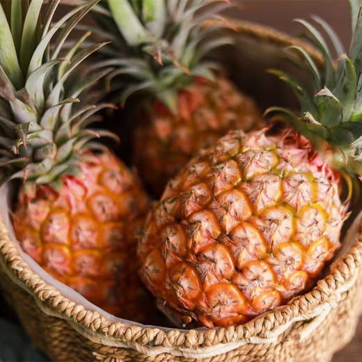 贝壳  海南南采正宗的海南金钻凤梨 甜度可佳浓郁香甜 从舌尖沁入心脾 商品图6