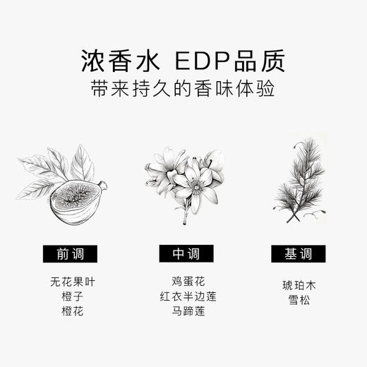 瑞典进口 SG79 EdP淡香精 艺术香水 N°21斯德哥尔摩的翩跹：安伯伍德 商品图7