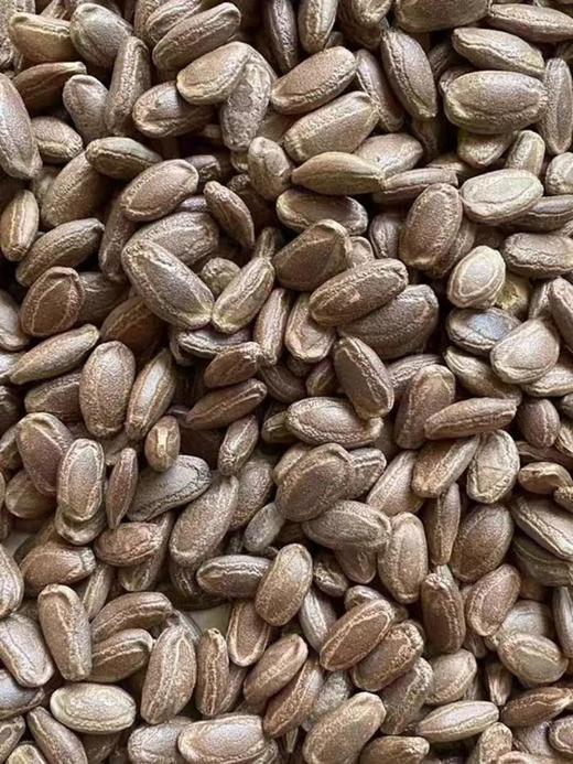 【坚果系列】原味特大吊瓜子 粒粒臻选 饱满圆润 商品图0