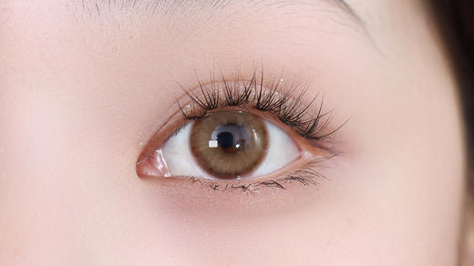 Serltyca旗下 ·青木浅驼&青木米灰·日抛 一盒6片装 商品图2