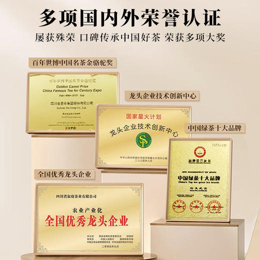 【2025新茶 下单立即发货】川茶集团 天府龙芽 四川宜宾早春茶 特级独芽绿茶 50g罐（京东同款） 商品图7