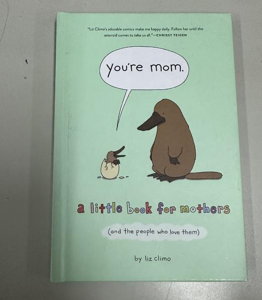 微瑕 你是妈妈 莉兹·克里莫 新作 治愈温馨绘本 英文原版 You're Mom: A Little Book for Mothers 你今天真好看作者Liz Climo 商品图1