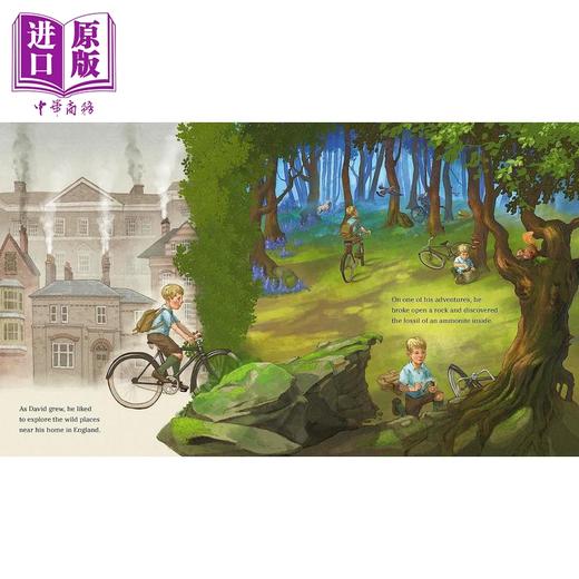 【中商原版】狂野之地 John Rocco Wild Places 英文原版 儿童故事绘本 图画书传记 精装科普读物 进口图书 4-8岁 自然环保 商品图1