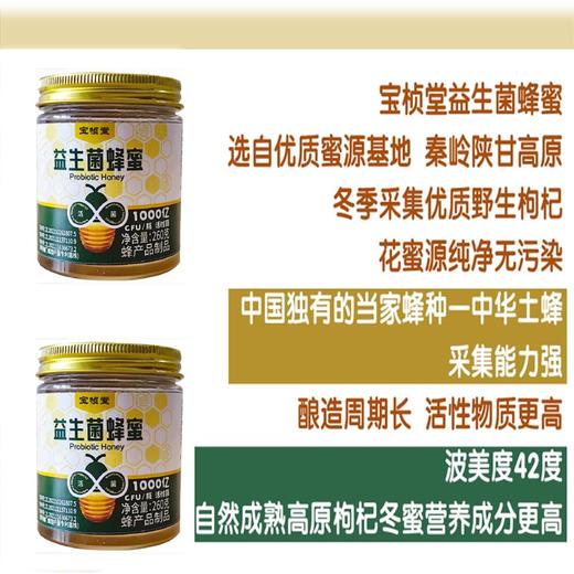 宝桢堂益生菌蜂蜜 商品图1