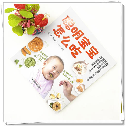 聪明宝宝怎么吃 王晶 左小霞 编著 中国中医药出版社 商品图1