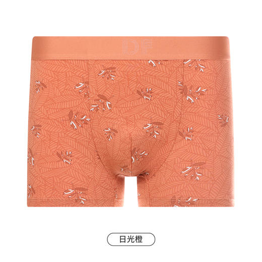 都市丽人都市锋尚日常休闲内裤男棉莫男士内裤平角内裤FK4CB9 商品图11