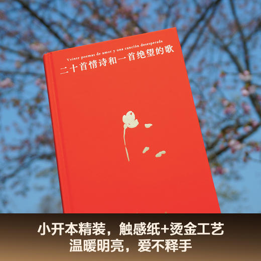 二十首情诗和一首绝望的歌（诺奖诗人聂鲁达经典情诗集，西班牙语直译，精装典藏） 商品图1