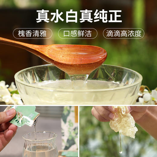 【便携装】刺槐水白蜜秦岭自然成熟便携随身装 商品图1