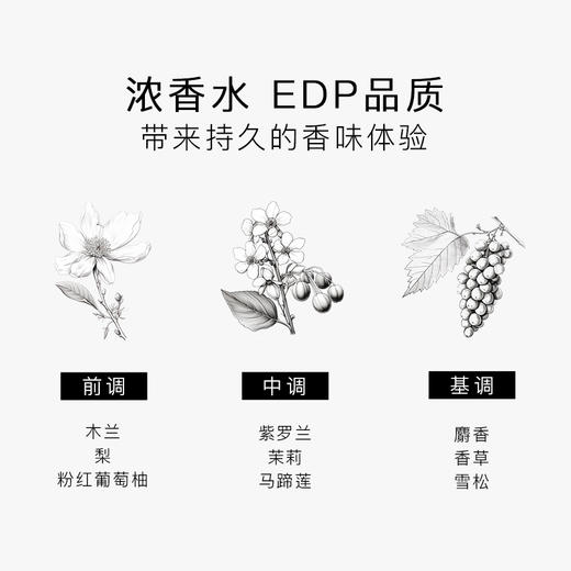 瑞典进口 SG79 EdP淡香精 艺术香水 N°22斯德哥尔摩的姽婳：天际彩虹 商品图7