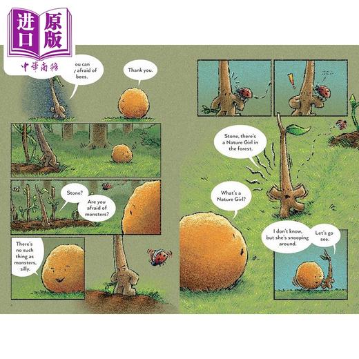 【中商原版】桥梁漫画 棍子与石头 探索更多Stick and Stone Explore and More英文原版进口 儿童图画图像小说 漫画故事 6-9岁 商品图2