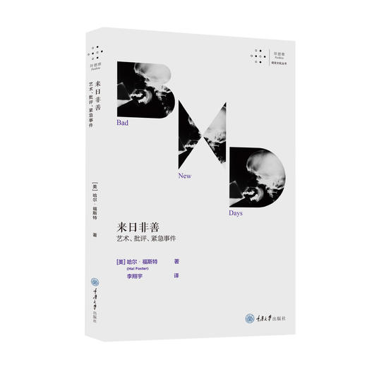 拜德雅·视觉文化丛书5册套装（《来日非善：艺术、批评、紧急事件》《瓦尔特·本雅明之后的艺术史》《21世纪图像》《绘画是什么》《观看的方法》） 商品图2
