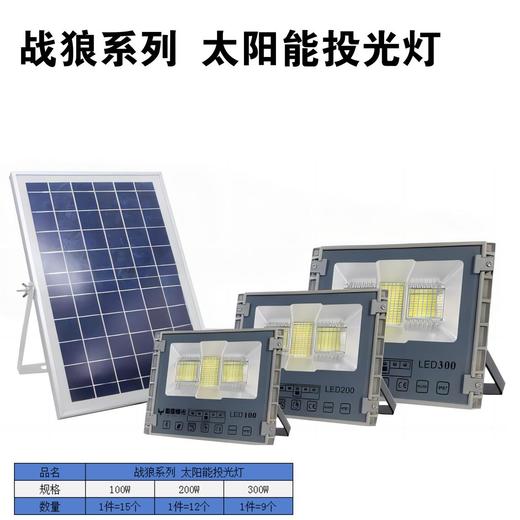 战狼系列 太阳能投光灯 商品图1