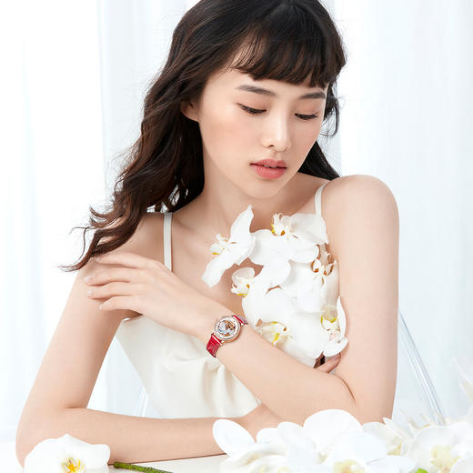 依波表EBOHR 卡纳系列典雅时尚机械手表女士腕表5674 商品图4